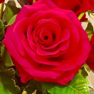 Meet your Posher, Ilana